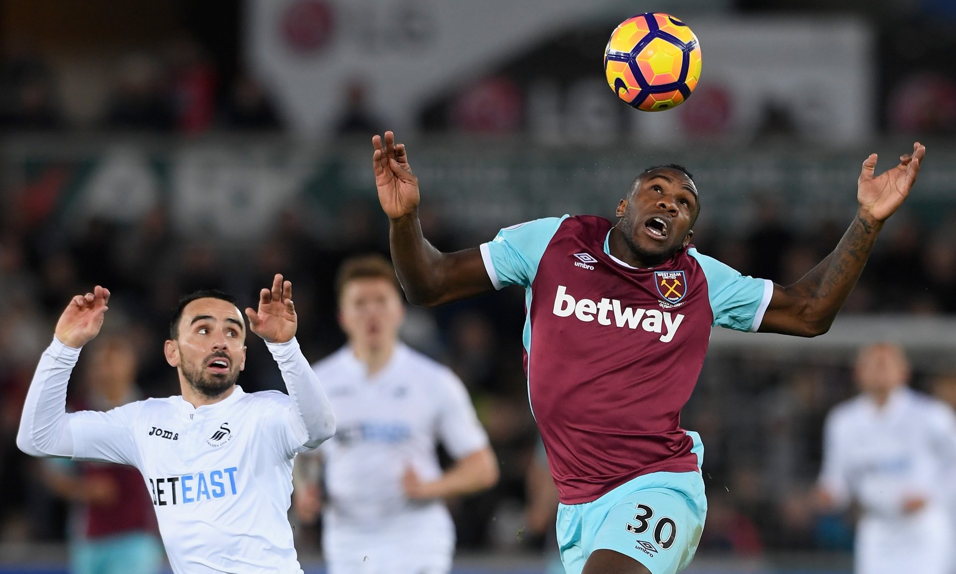 不仅展示了 不仅展示了